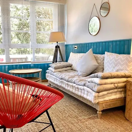 The Cliffs - Bannanas Longboard