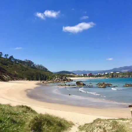 The Cliffs - Bannanas Longboard *