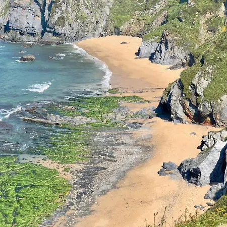 The Cliffs - Bannanas Longboard *