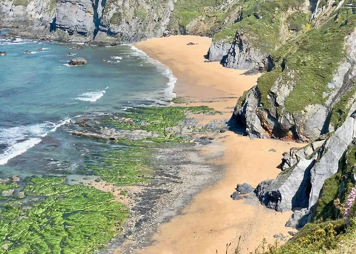 The Cliffs - Bannanas Longboard *