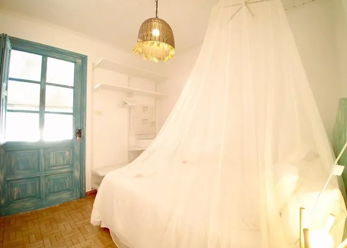 The Cliffs - Bannanas Longboard *